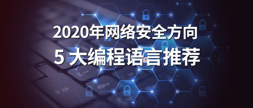 2020年网络安全领域最值得学习的5大编程语言推荐